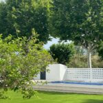 WhatsApp Image 2025-06-06 at 18.08.12