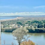 WhatsApp Image 2025-11-08 at 11.58.05 (1)