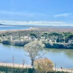 WhatsApp Image 2025-11-08 at 11.58.05