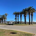 WhatsApp Image 2025-11-08 at 11.58.08 (12)