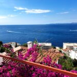 WhatsApp Image 2026-02-24 at 11.13.05