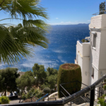 WhatsApp Image 2026-03-20 at 16.28.27 (7)