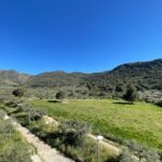 WhatsApp Image 2026-04-07 at 18.17.07 (13)